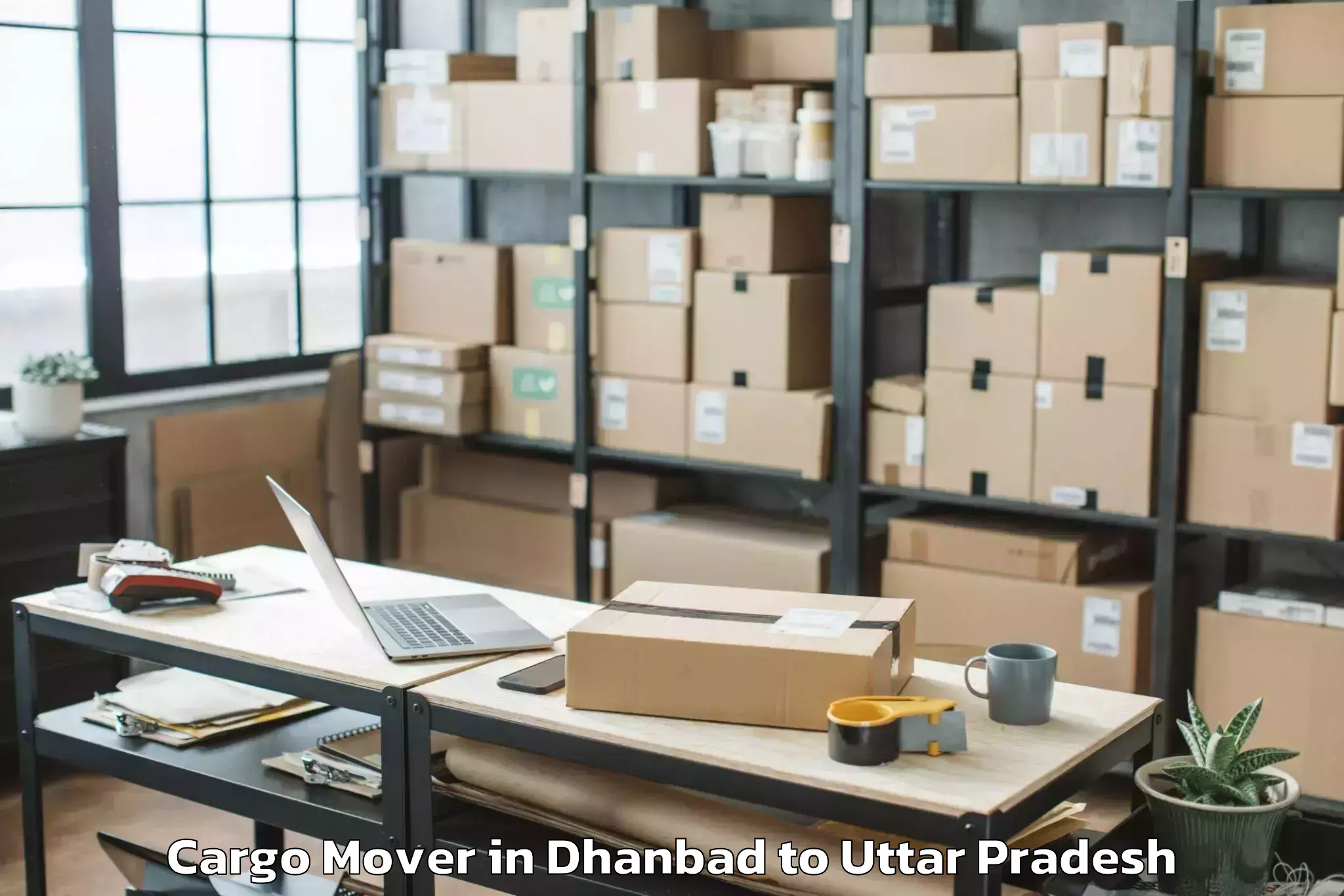 Top Dhanbad to Nehru Gram Bharati Vishwavidya Cargo Mover Available